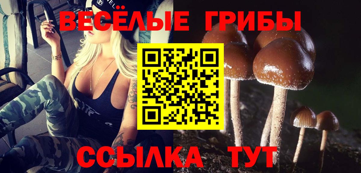 Псилоцибиновые грибы мицелий Прокопьевск